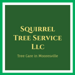 Squirrel Tree Service Llc Logo