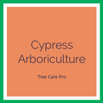 Cypress Arboriculture Logo