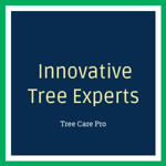 Innovative Tree Experts Logo