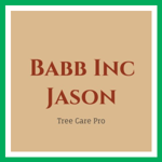 Babb Inc Jason Logo
