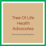 Tree Of Life Health Advocates Logo