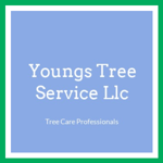 Youngs Tree Service Llc Logo