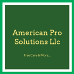 American Pro Solutions Llc Logo