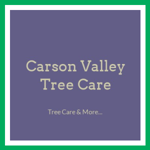 Carson Valley Tree Care Logo