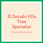El Dorado Hlls Tree Specialist Logo