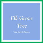 Elk Grove Tree Logo
