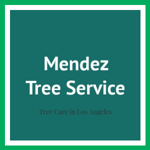Mendez Tree Service Logo