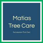 Matias Tree Care Logo