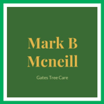 Mark B Mcneill Logo
