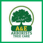 A And E Arborist And Tree Care Logo