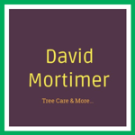 David Mortimer Logo