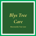 Blys Tree Care Logo