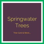 Springwater Trees Logo