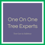 One On One Tree Experts Logo