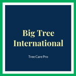 Big Tree International Logo