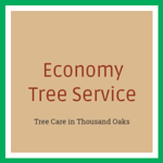 Economy Tree Service Logo