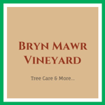 Bryn Mawr Vineyard Logo