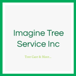 Imagine Tree Service Inc Logo