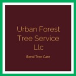 Urban Forest Tree Service Llc Logo