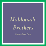 Maldonado Brothers Logo