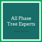 All Phase Tree Experts Logo