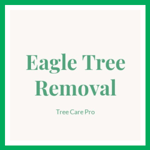 Eagle Tree Removal Logo