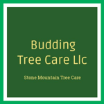 Budding Tree Care Llc Logo