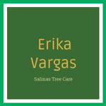 Erika Vargas Logo