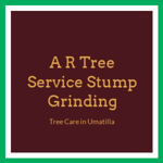 A R Tree Service Stump Grinding Logo