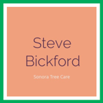Steve Bickford Logo