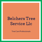 Belchers Tree Service Llc Logo