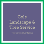 Cole Landscape & Tree Service Logo
