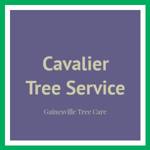 Cavalier Tree Service Logo