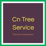 Cn Tree Service Logo