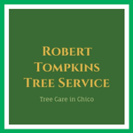 Robert Tompkins Tree Service Logo