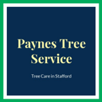 Paynes Tree Service Logo