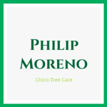 Philip Moreno Logo