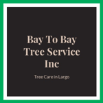 Bay To Bay Tree Service Inc Logo