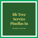 Bh Tree Service Pinellas In Logo