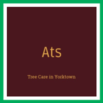 Ats Logo