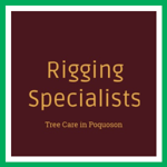 Rigging Specialists Logo