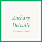 Zachary Delvalle Logo
