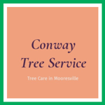 Conway Tree Service Logo