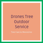 Drones Tree Outdoor Service Logo