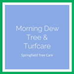 Morning Dew Tree & Turfcare Logo