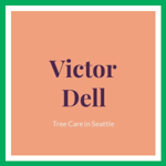 Victor Dell Logo
