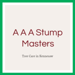 A A A Stump Masters Logo