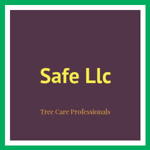 Safe Llc Logo