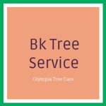 Bk Tree Service Logo
