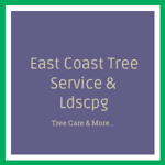 East Coast Tree Service & Ldscpg Logo